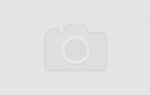 Комплектующие - Золоті ворота